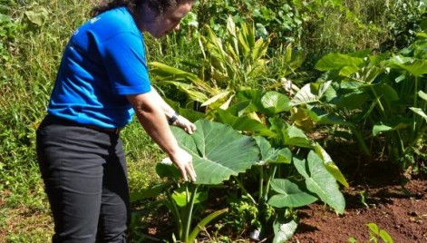 O conhecimento dos brasileiros sobre temas ambientais teve destaque entre os nove países participantes da pesquisa Barômetro da Biodiversidade