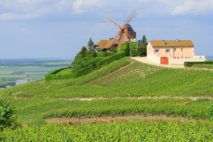                                Colinas, casas e adegas da região de Champagne (França)