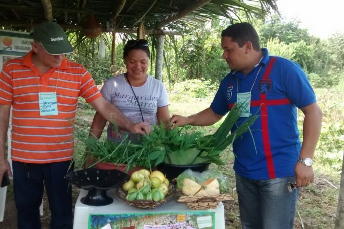 Maranhão se destaca no ranking do Programa de Aquisição de Alimentos