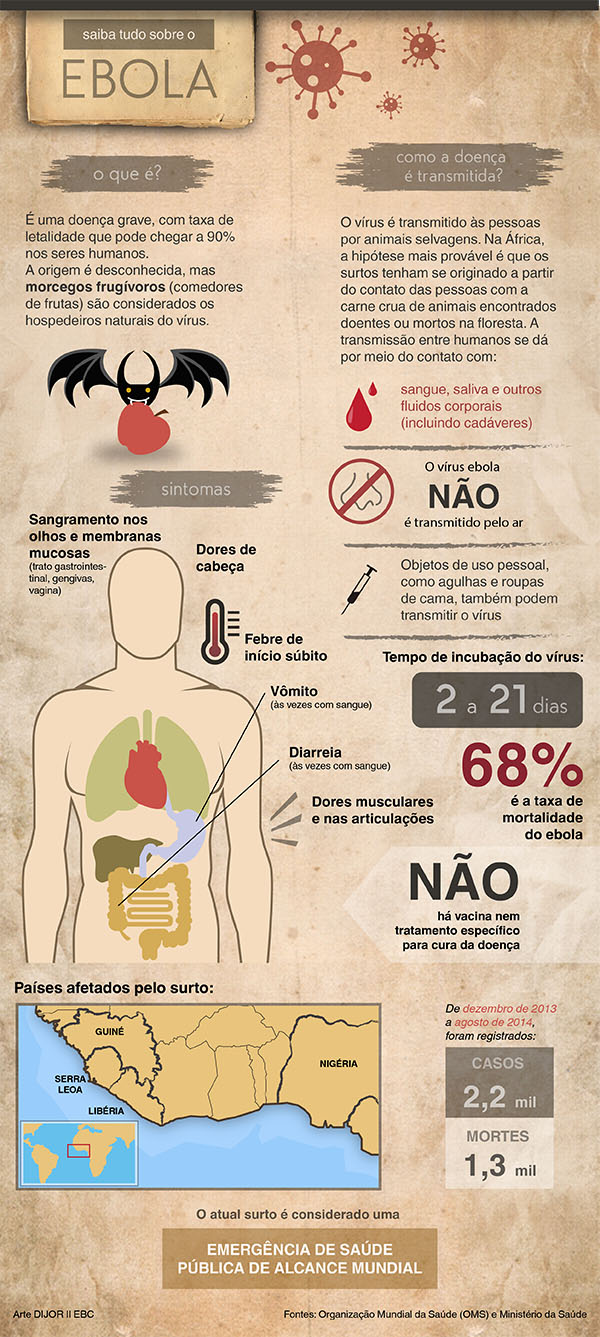 Apesar dos avanços, combate ao ebola no oeste da África ainda requer atenção