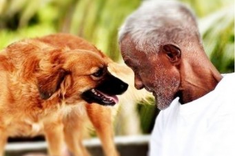 Um flagrante de uma troca de olhares entre um homem e seu cachorro
