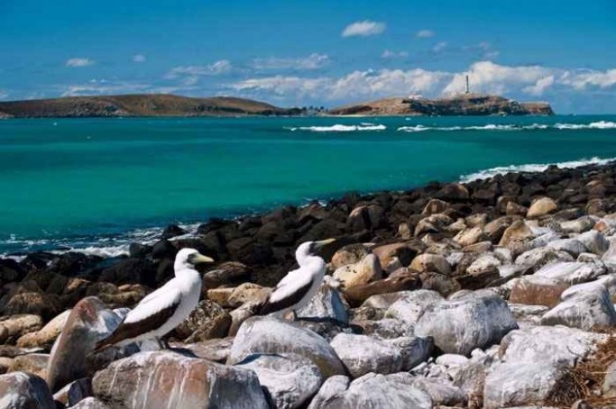 Abrolhos