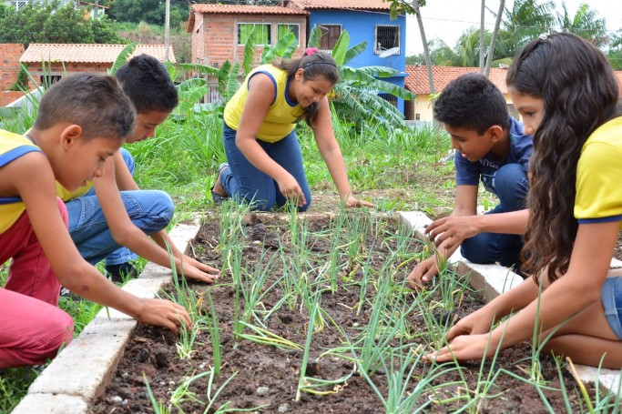Rede municipal de ensino viabiliza o cultivo de hortas escolares