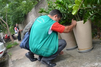Combate ao mosquito é feito com inspeções nas áreas externas dos prédios do TRT em todo o Maranhão