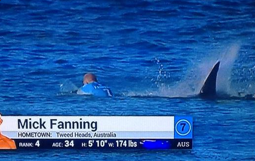 Surfista Mick Fanning é atacado por tubarão na África do Sul