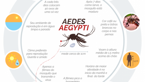 Esboçom - Zika - diferenças