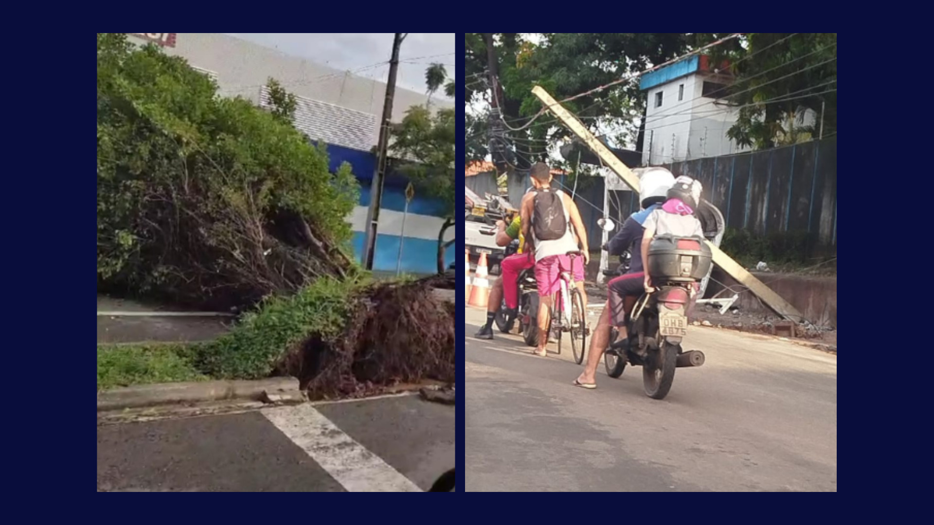 Alagamentos queda de árvore e poste chuva forte causa transtornos em