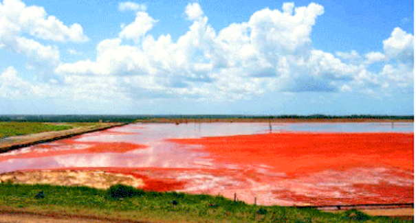 Alumar se posiciona sobre Barragem de Rejeitos em São Luís
