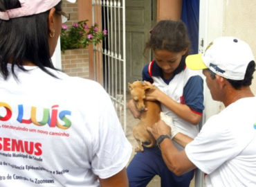 São Luís desenvolve ações para saúde animal