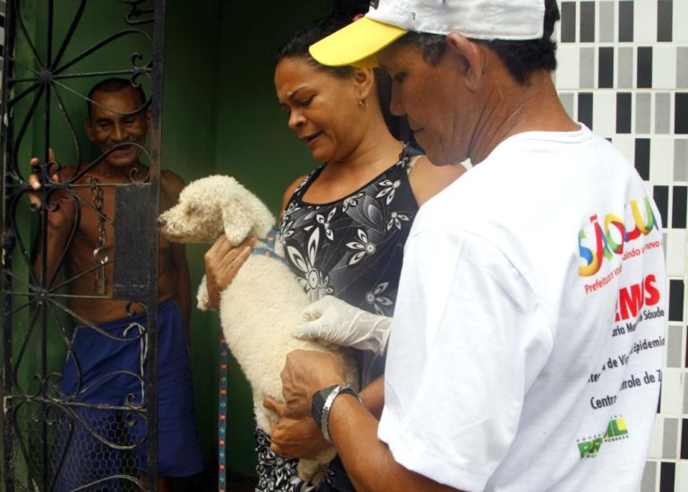 Mais de 100 mil animais vacinados durante campanha antirrábica