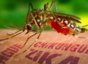 Entenda a diferença entre Zika, Dengue e Chikungunya