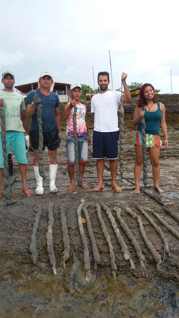 Projeto incentiva o cultivo de sururu em Bequimão