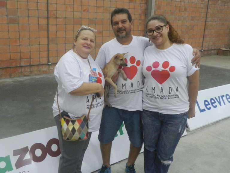 Feira de adoção de animais ocorre neste sábado
