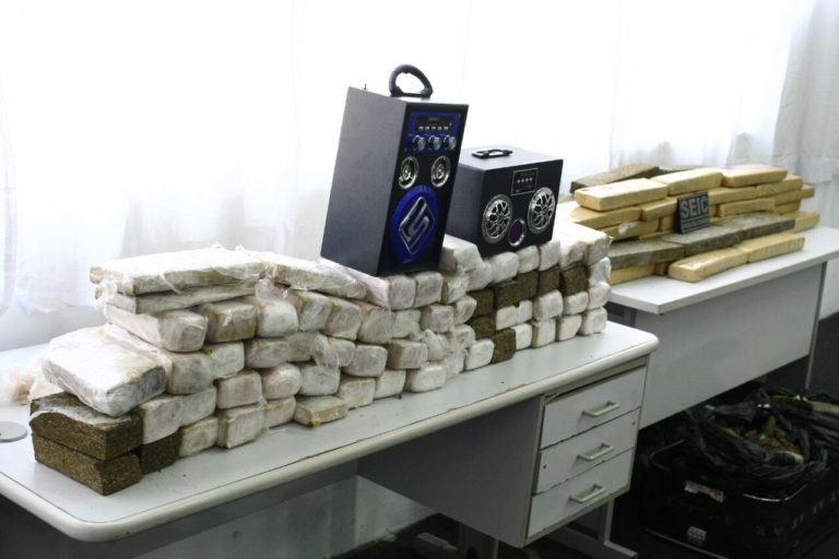 Polícia apreende 166 kg de maconha