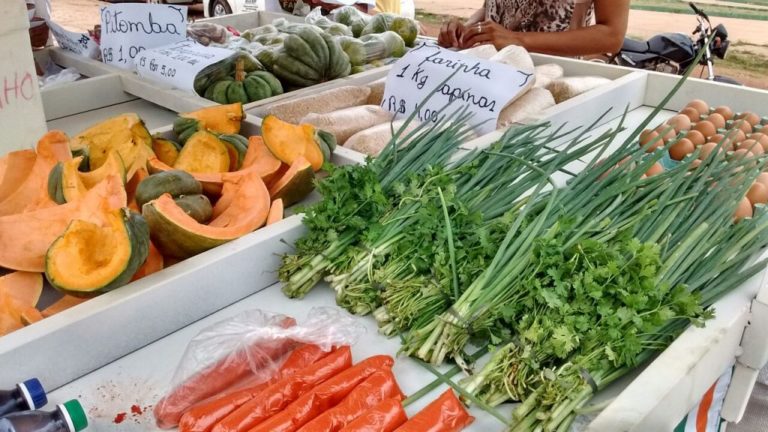 Agricultores familiares têm venda de produtos garantida