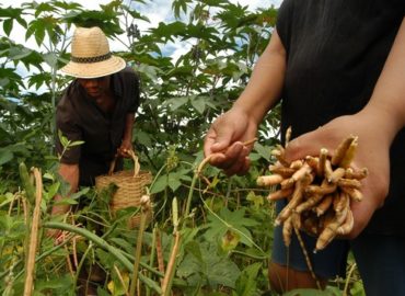 Garantia-Safra beneficia agricultores do Maranhão atingidos pela seca