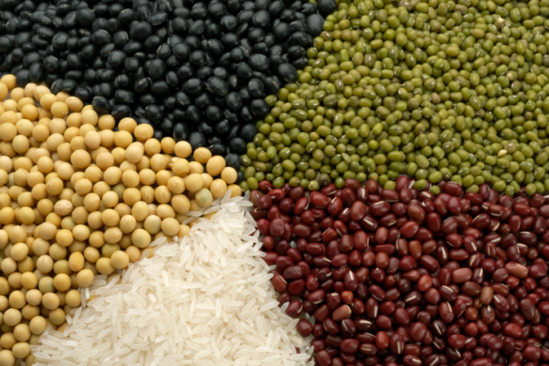 Produção de grãos no Brasil deve chegar a 215 milhões de toneladas