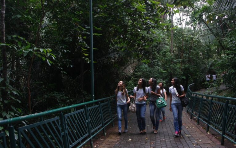 Baile infantil de carnaval é realizado no Parque Botânico Vale