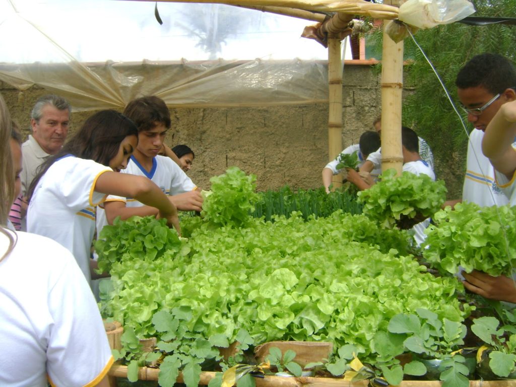 Escolas do Maranhão receberão cursos técnicos em agronegócios