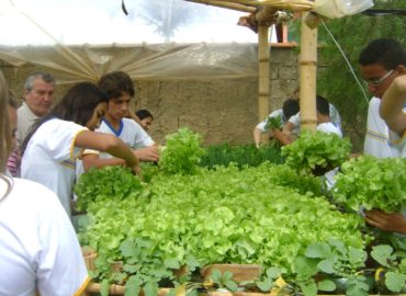 Escolas do Maranhão receberão cursos técnicos em agronegócios