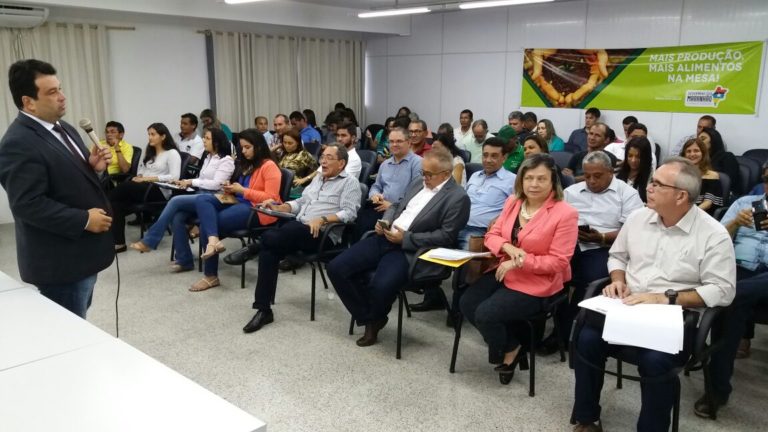 Maranhão e Piauí discutem parcerias pela agricultura