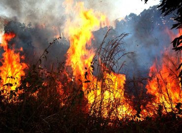 Tempo seco de setembro facilita incêndios; ação humana é a principal causa
