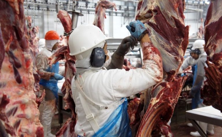 Operação da PF revela fraude em vendas de carne no Brasil