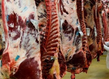 JBS retoma produção de carne bovina
