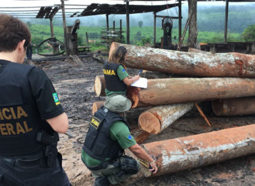 Polícia Federal realiza operação para combater crimes ambientais