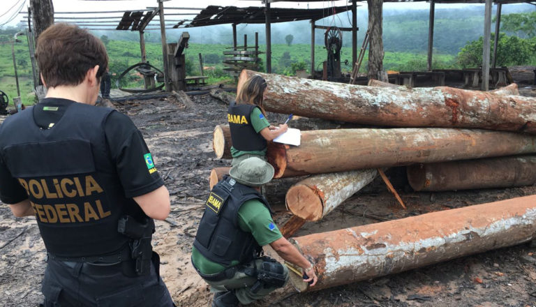 Polícia Federal realiza operação para combater crimes ambientais