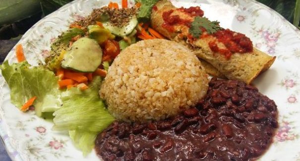 Àrvore da Vida será também restaurante