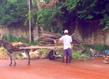 Carroceiros jogam lixos em lugares impróprios