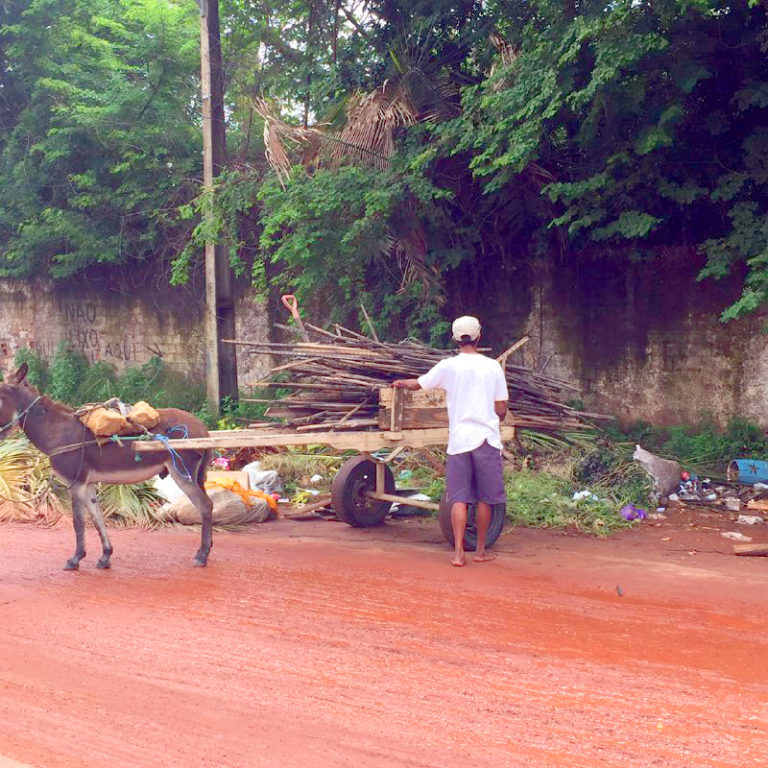 Carroceiros jogam lixos em lugares impróprios
