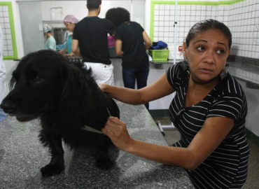 A busca por saúde e bem-estar animal