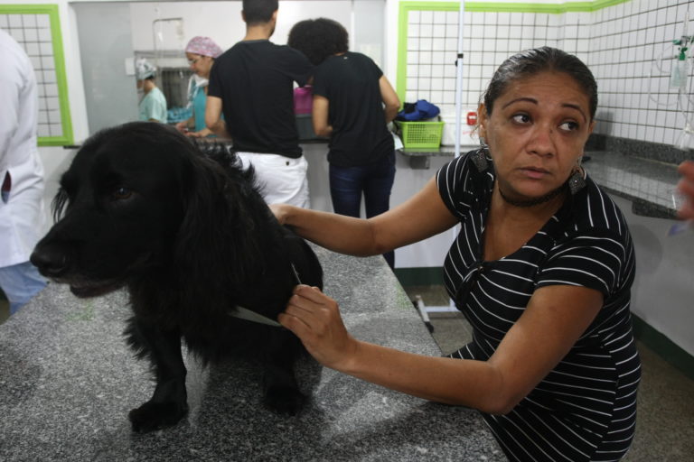 A busca por saúde e bem-estar animal