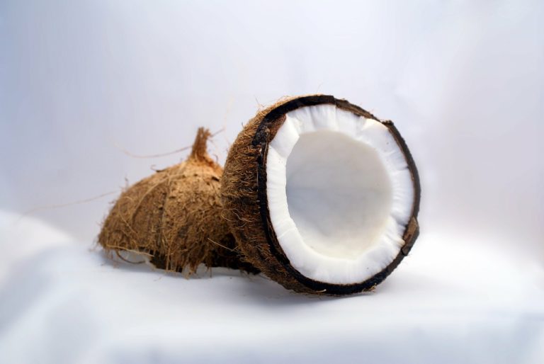 Saiba como fazer leite de coco caseiro