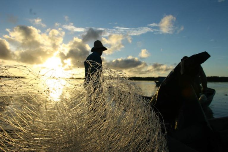 Ibama deve combater pesca de arrasto nos Lençóis