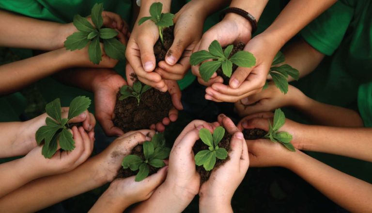 Sustentabilidade: Governo Federal apresenta resultados e reforça ações de preservação ambiental