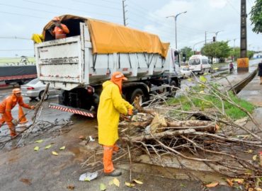 Mutirão de poda de árvores e limpeza é realizado em São Luís