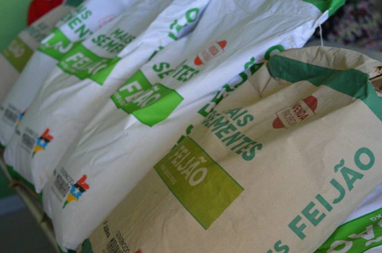 Agricultores recebem 400 toneladas de sementes de feijão