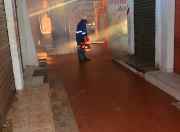Mercados municipais de São Luís são dedetizados e higienizados