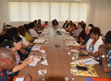 Inclusão do ensino de história e cultura afro-brasileira e indígena é tema de reunião