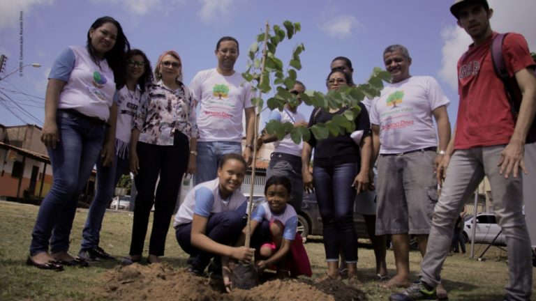 Vereador lança projeto para arborizar São Luís