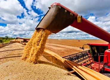 Maranhão prevê 4,8 milhões de toneladas de grãos