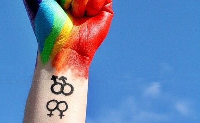 Comissão do Senado faz audiência pública no Dia de Combate à Homofobia