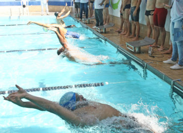 Torneio de natação reuniu centenas de competidores neste fim de semana
