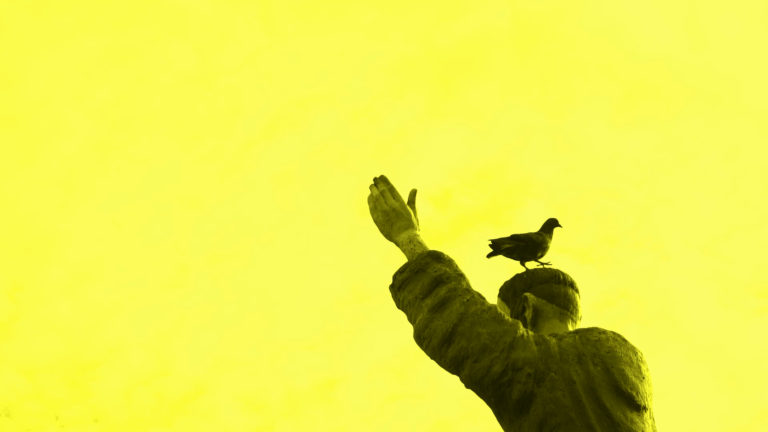 Cuidado com o pombo