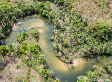 Programa ‘Maranhão Verde’ deve promover conservação ambiental