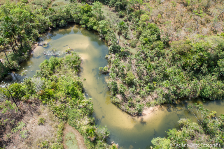 Programa ‘Maranhão Verde’ deve promover conservação ambiental