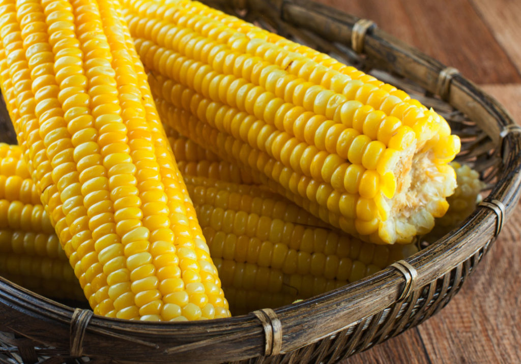 Saiba como curtir o melhor da culinária junina de um jeito saudável